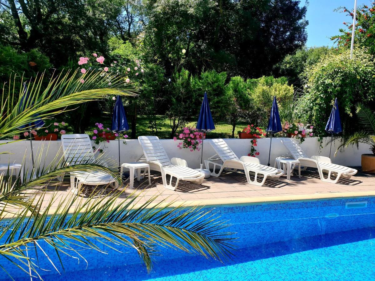 Hotel Feniks Lozenets Extérieur photo