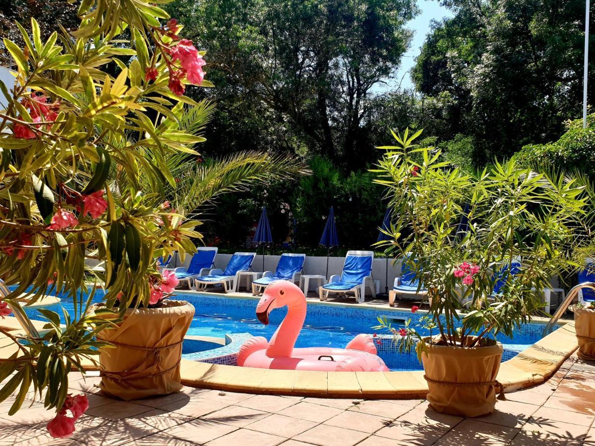 Hotel Feniks Lozenets Extérieur photo